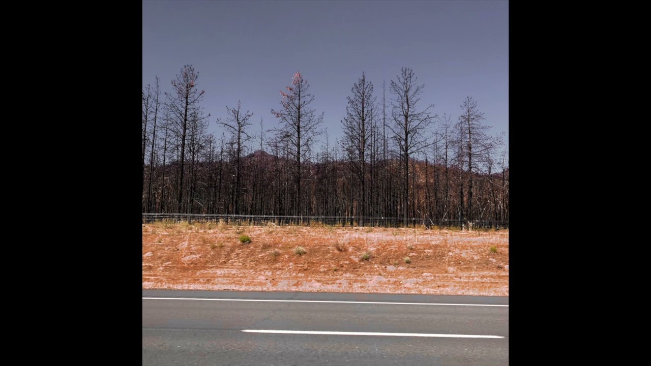 Victims of Real Things (Yankeeville In Decline)