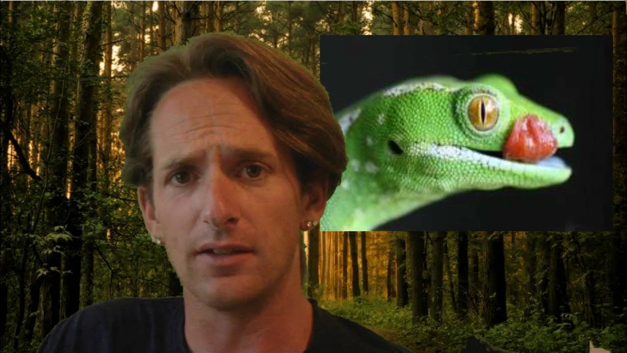 petco hours Reptile News: CPS reptile horder get protien from Police