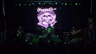 (hed) p.e.-07-raise hell (live @ the king of clubs 8.28.24)