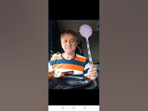 Маг Папазов _ муха ™ - YouTube