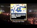 Pablo Fierro, Nautik (US) – Bird Of Paradise (Original Mix) - #afrohouse #thesacredtribe