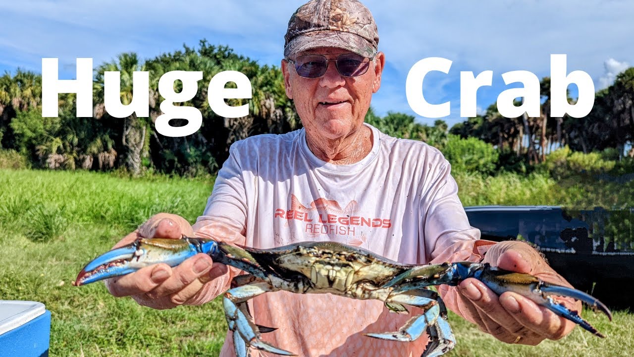 Синие крабы, они были огромными