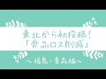 東北から初投稿！「食品ロス削減」福島・青森編