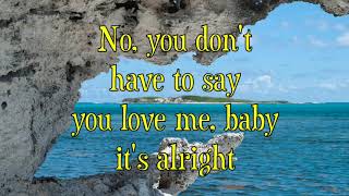 Transvision Vamp - Baby I Don't Care (with Lyrics)