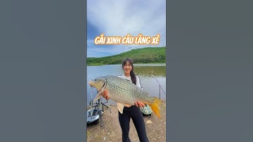 cô cần thủ câu câu lăng xê hồ tự nhiên được 1 con cá chép lợn và cái kết #fishing #cauca