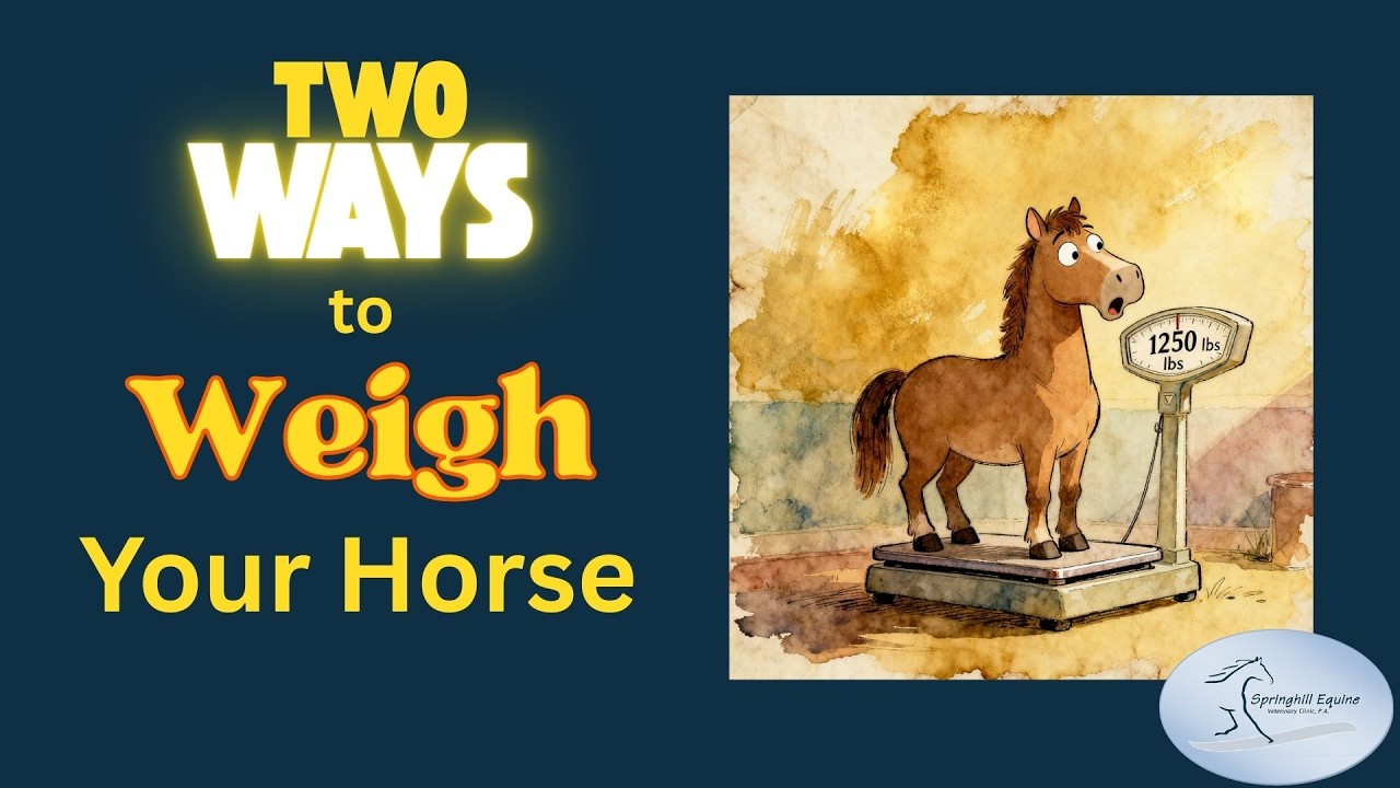 Два способа взвесить лошадь