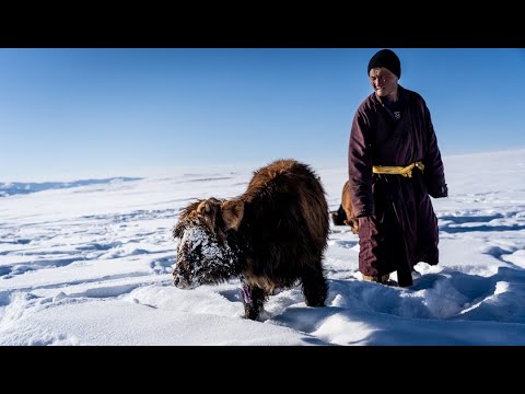 Race for Tomorrow | Episode 7 | Dzud: Mongolia's Killer Winters