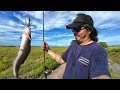 Bait and wait FISHING for Native Catfish | Y6E21