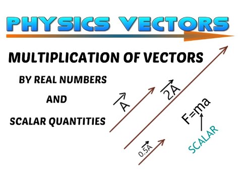 Video: Hoe Een Vector Met Een Getal Te Vermenigvuldigen?