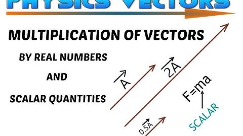 Multiplication of vector by Real Number/Scalar/Vectors Physics lec14 vector multiplication