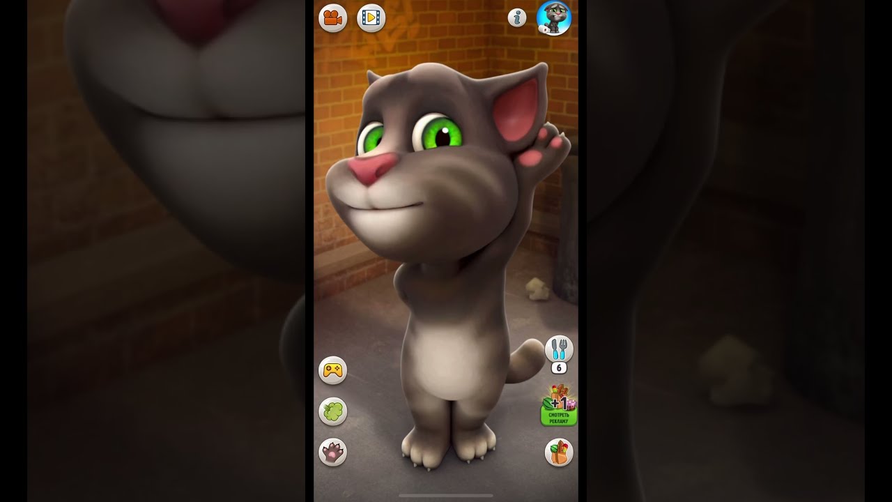 Talking Tom Says Hello