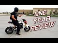 One Year With a Honda Grom | Owner's Review
