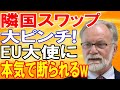【海外の反応】ついにお隣さんがEUに8兆円の通貨スワップの申し入れ!恐るべき一言を突きつけられアジア全土が一瞬で凍りつく!!衝撃の真相とは?