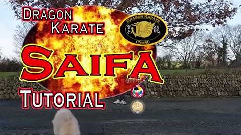 Saifa Shitoryu Shukokai basic Tutorial