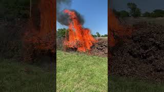 Burning Cedar Tree Pile