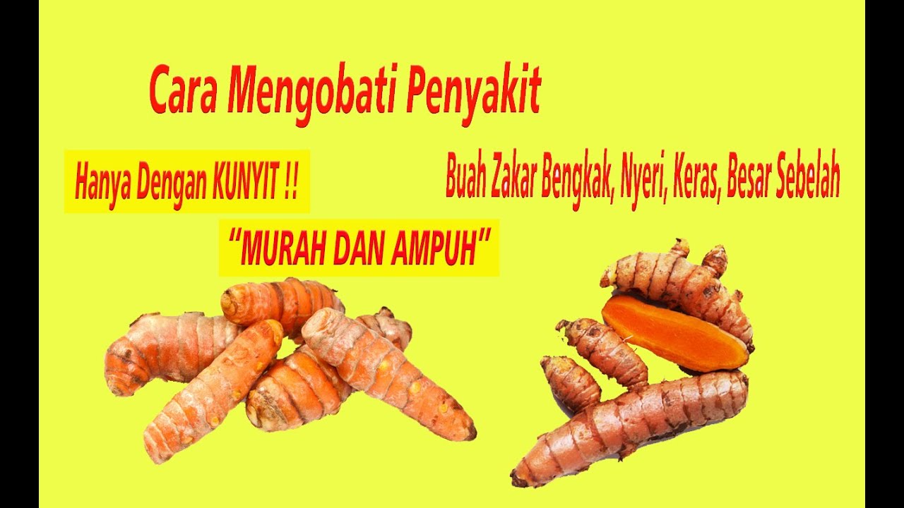 Cara mengobati testis bengkak sebelah dengan kunyit 