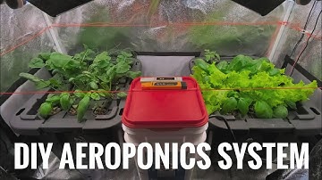 DIY Aeroponics Hydroponics System