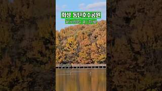 경기도 가볼만한곳 화성 동탄호수공원에서 힐링하는 법! 🏞️