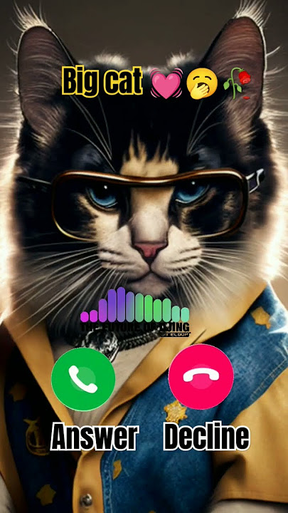 #ringtone #nadaderingtelepon #smartphone #ringtones #music #bgm #cat #smartphoneringtones