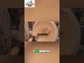 Woodturning Gouge & Sanding Disc: Faster Bowl Making #shorts