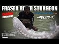 Canada Chronicles - Fraser River Sturgeon ft. Fishing with Rod & Kanalgratis.se