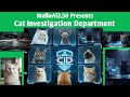 CID Cat ivestigation Department Malayalam Aivideo #aivideo #malayalamfunnyvideos #malayalamai#funny