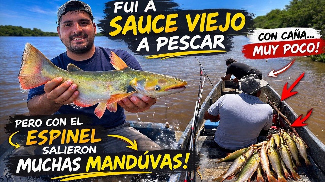 ¡EXPLOTÓ el espinel en Sauce Viejo! 🐟 Mandúvas a lo loco 🔥