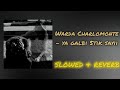 Warda Charlomonte Ya Galbi 5tik Sayii Slowed Reverb لي تبغيه راحلك
