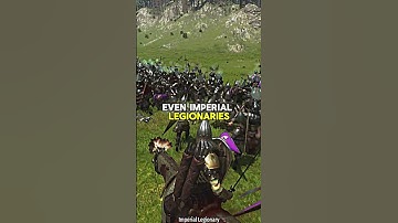 What`s the best Soldier in Mount and Blade 2 Bannerlord ?  | Check the related video ⬆️