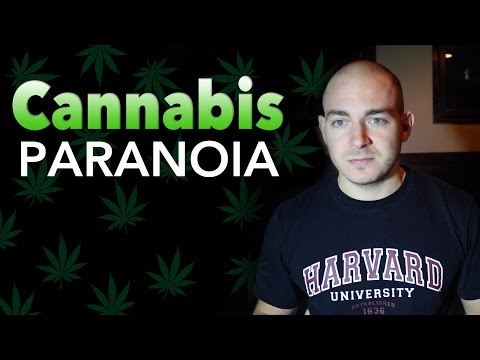 Video: Marijuana Paranoia: Varför Det Händer Och Hur Man Hanterar Det