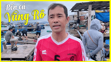 Khám Phá Cảng Cá Vũng Rô Phú Yên cùng Châu Học I Du lịch Phú Yên