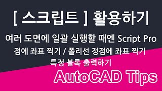 스크립트를 여러 도면에, 한 번에 사용하고 싶다면 - Script Pro