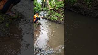Spot Jarang di Jamah Ikan Melimpah