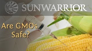 What are GMOs? | Genetically Modified Foods and Your Health | Sunwarrior