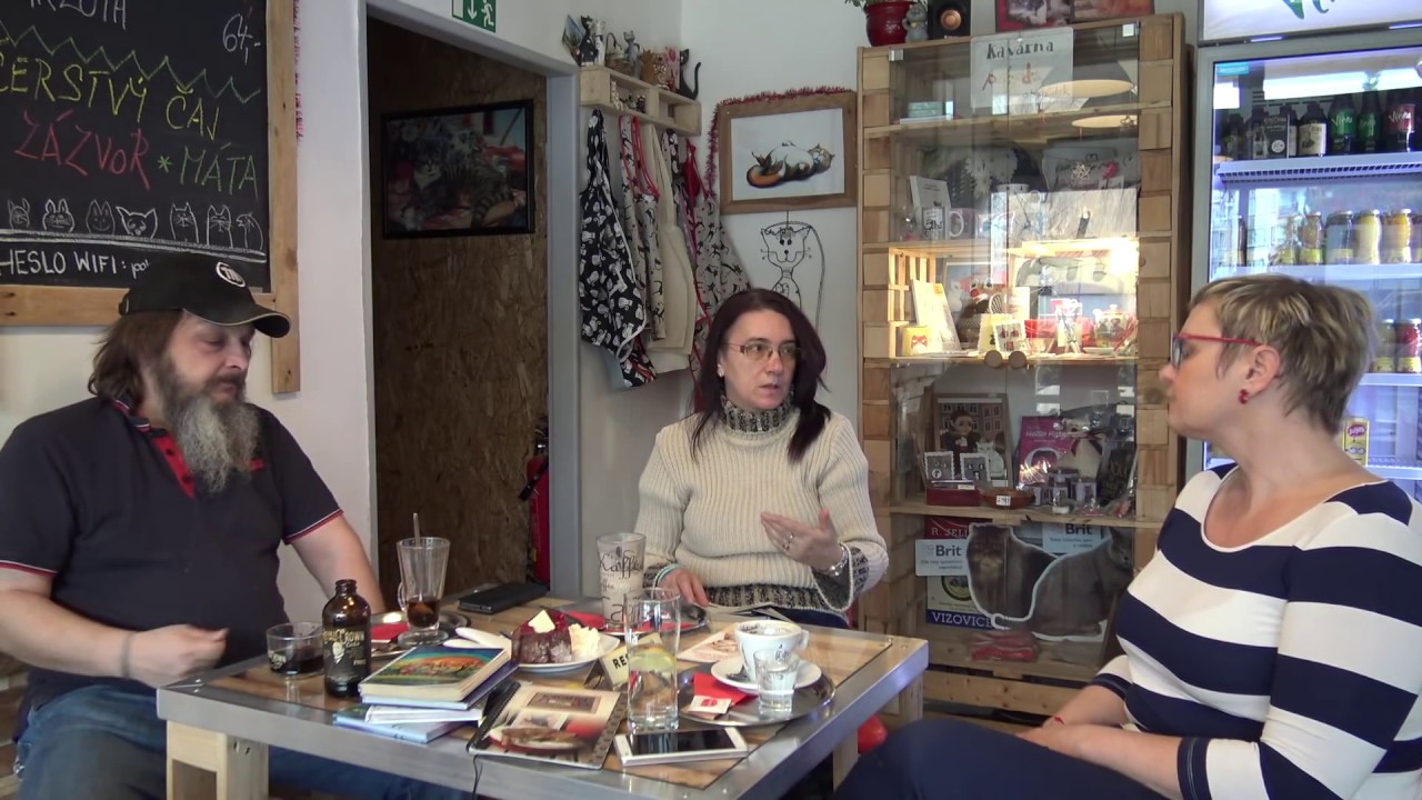 Kočičí kavárna POHODA / TruckMartin dobrovolně v kavárně 😃