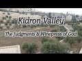 Kidron Valley, Jerusalem, Israel! Judgment, Wine Press of God, Valley of Jehoshaphat, Tribulation!