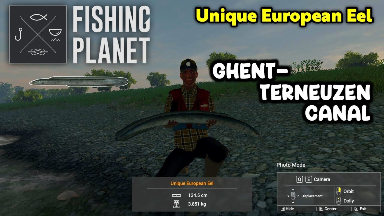 Unique European Eel Ghent-Terneuzen Canal - Fishing Planet