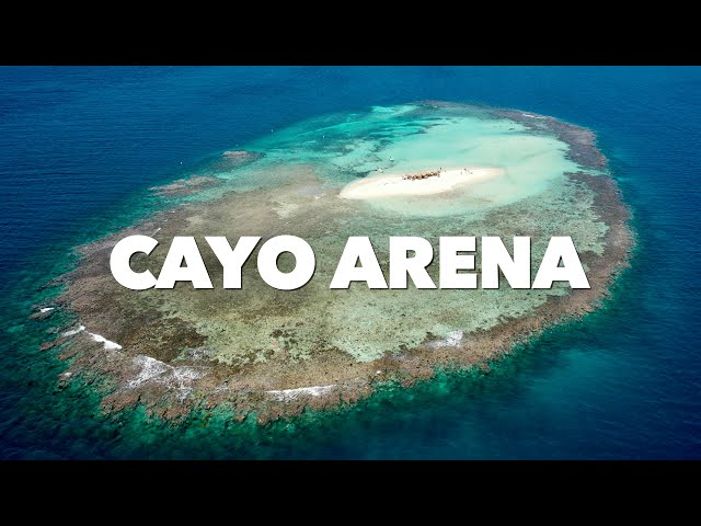 Cayo Arena