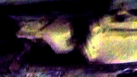 Balance Shaft Chain Noise?