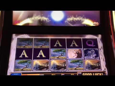 White Lion Slot Machine  ** Live Play w/respins **