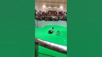 Biểu diễn rắn rồi bị rắn cắn luôn ở Thái lan