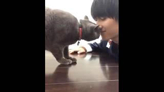 飯島颯（SUPER☆DRAGON）× 愛猫のクマくん | ペット愛 Vol.23 - 音楽