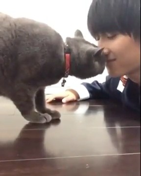ぺット愛】飯島颯（SUPER☆DRAGON）× 愛猫のクマくん - YouTube