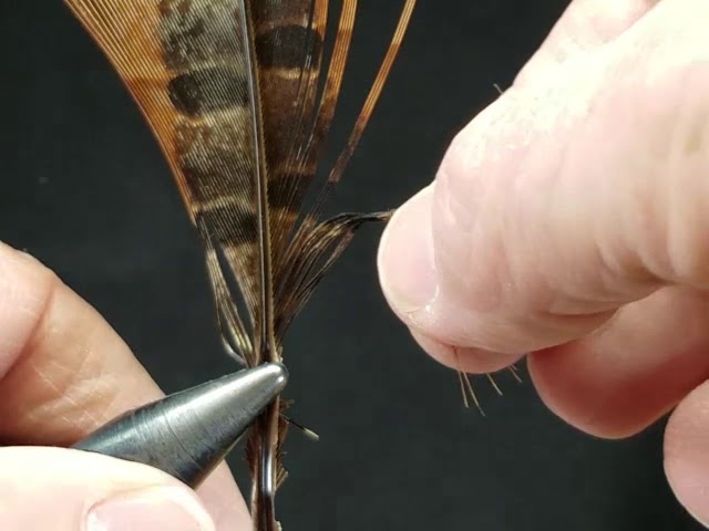 Tying the Golden Olive Hedgehog by Davie McPhail 