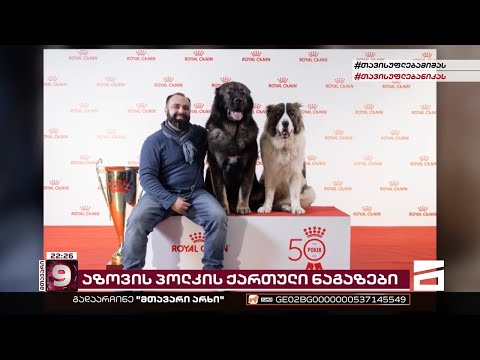 ბასარა და ბორა | \"აზოვის\" პოლკის ქართული ნაგაზები რუსმა ოკუპანტებმა, იპოვეს და სასტიკად დასაჯეს