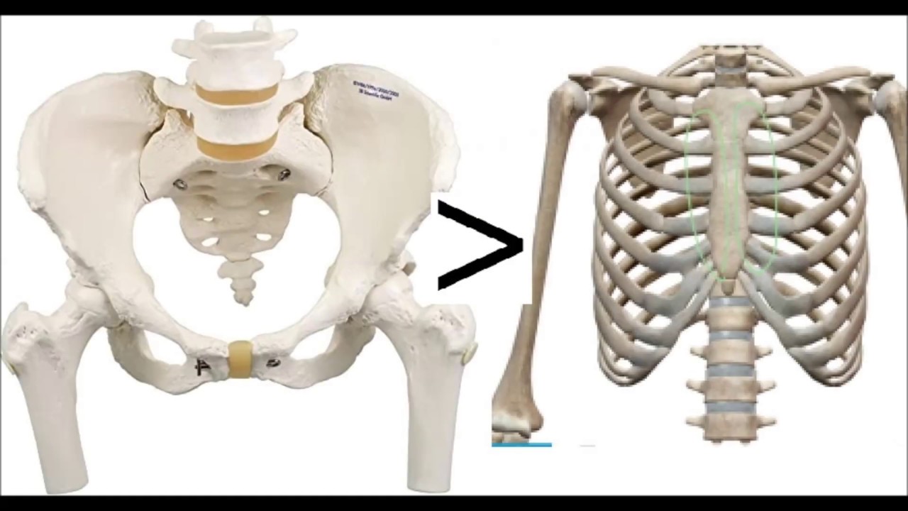 漏斗胸を自力で治す5 肋骨より骨盤の矯正を重視 Youtube