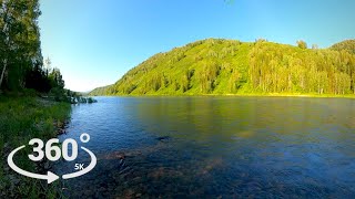 Уба 360° VR Видео - Видеопанорама - Дикая природа - Алтай
