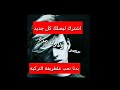 بدنا نعشق بدنا نحب على الطريقه التركيه mp3