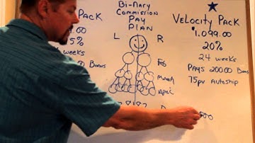 Visi Binary Comp Plan Training