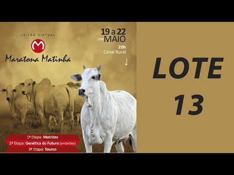 LOTE 13